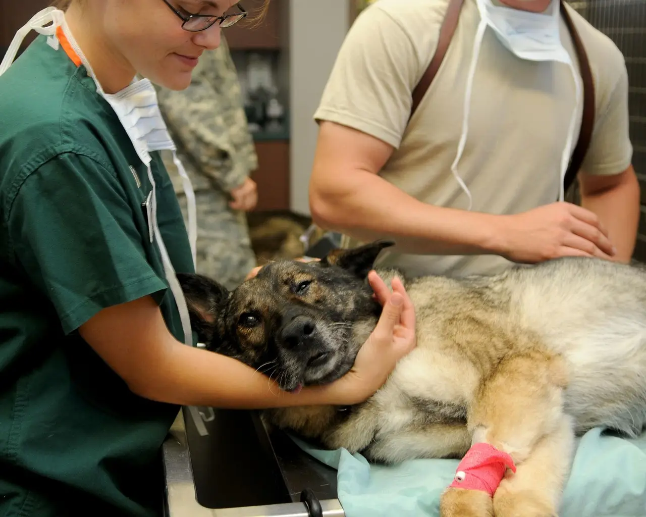 $110.5M in Gifts Fuel UC Davis School of Veterinary Medicine Expansion - UC Davis