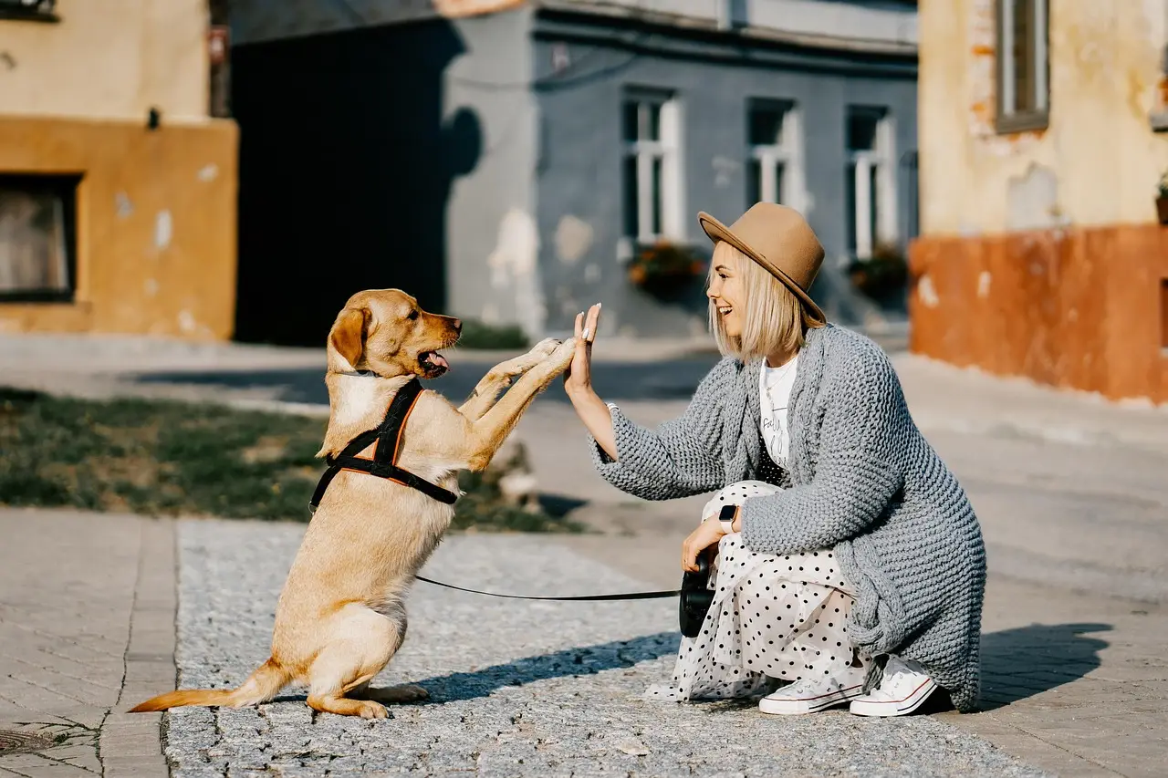 Human-animal bond, benefits of pet ownership highlighted in new survey