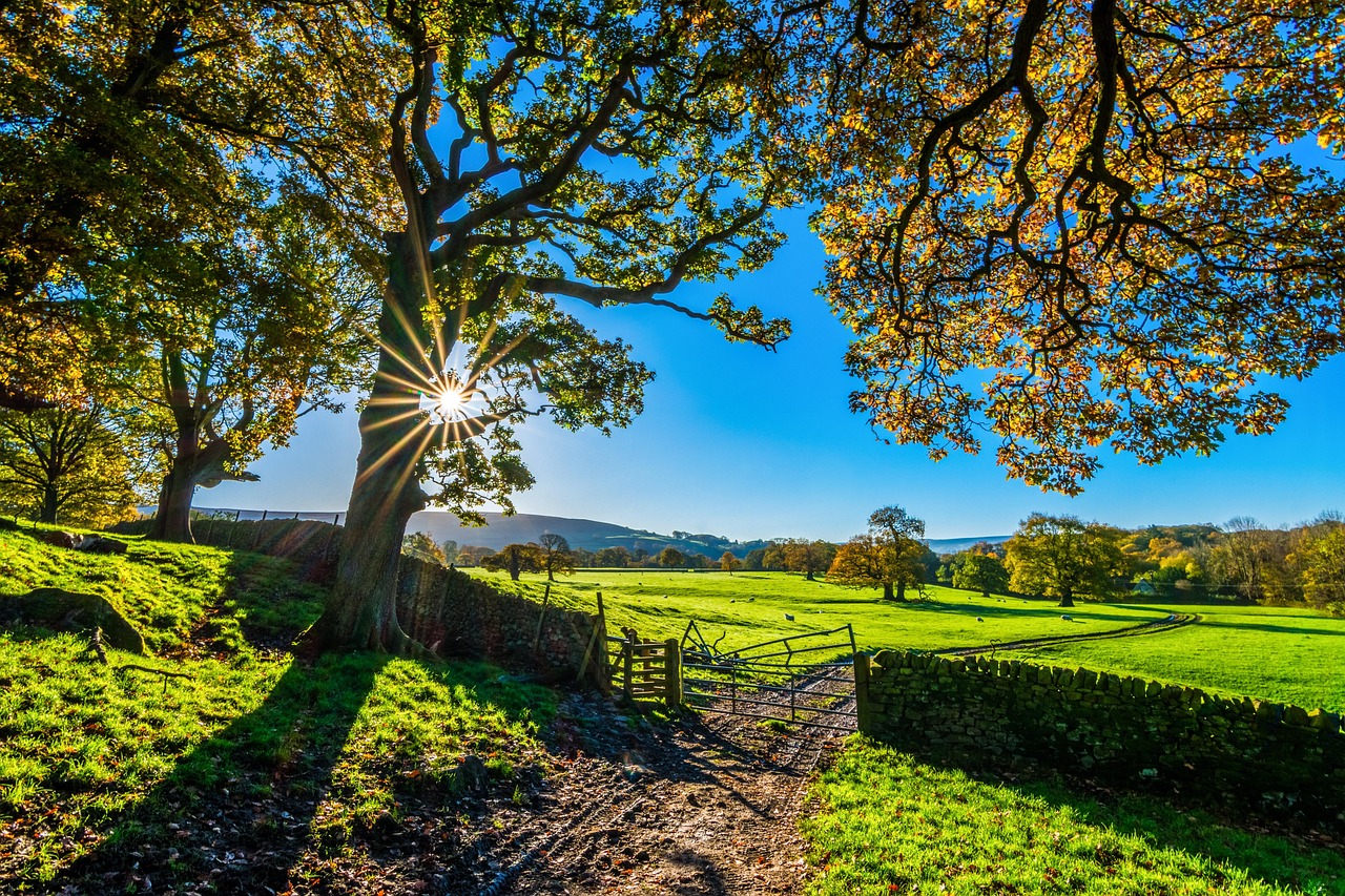 From Farm to Fork: AI, Biosensors and Green Chemistry Join Forces to Hunt Veterinary Drug Residues in Food - Bioengineer