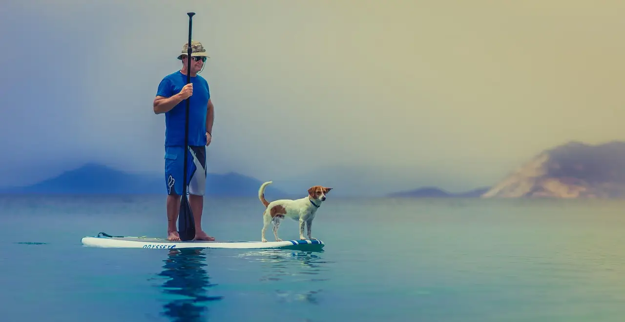 Pets still a priority for owners amid economic pressures - American Veterinary Medical Association