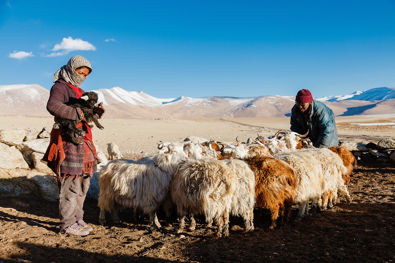 Late winter can be a perilous time for livestock - OSU Extension Service
